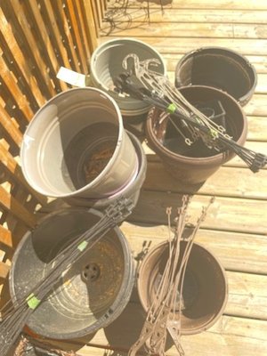 Photo of free Plastic Pots for Gardening (Greenfield, South Edmonton)