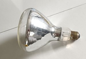 Photo of free Heat lamp bulb (GU2 Stoughton)