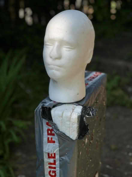 Photo of free Sryrofoam head and panels (Onslow Village)