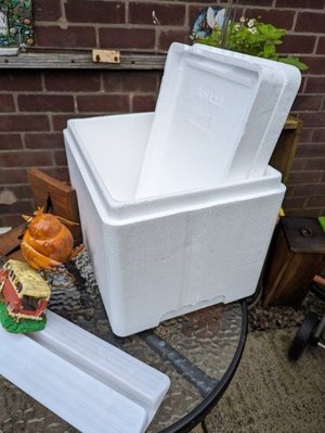 Photo of free Polystyrene lidded box (Jericho BL9)