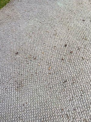 Photo of free Old carpet roughly 180 x 174cm (Denvilles, near Havant)