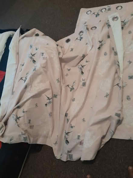 Photo of free 2 curtains (OL8)