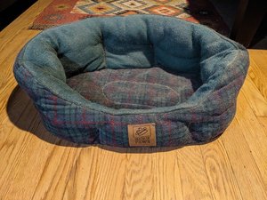 Photo of free Dog beds (Jackson Heights)