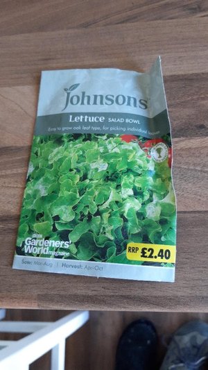 Photo of free Lettuce seeds (Park North SN3)