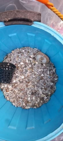 Photo of free Fish tank gravel and net (Pinehurst SN25)