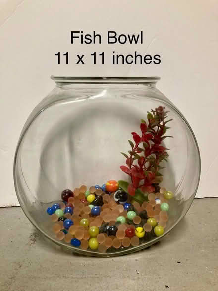 Photo of free Fish Bowl 11" x 11" (Belmont, MA)