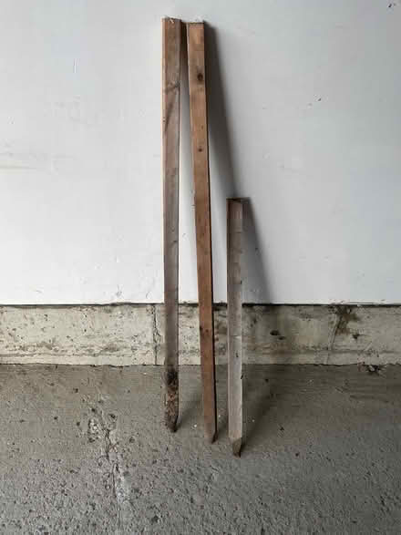 Photo of free 3 wooden stakes (Hunt Club Park)