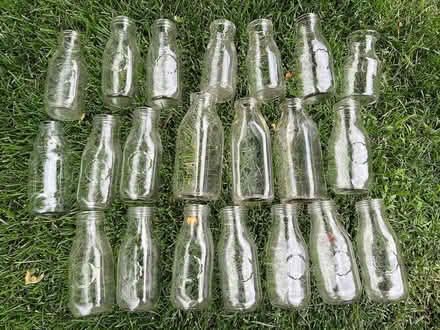 Photo of free Milk bottles/vases (White Bear Lake)