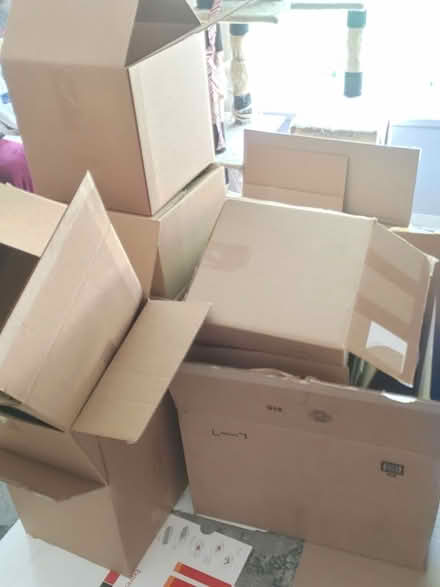 Photo of free Shipping moving boxes. Various size (Warren Woods 12 Hoover)