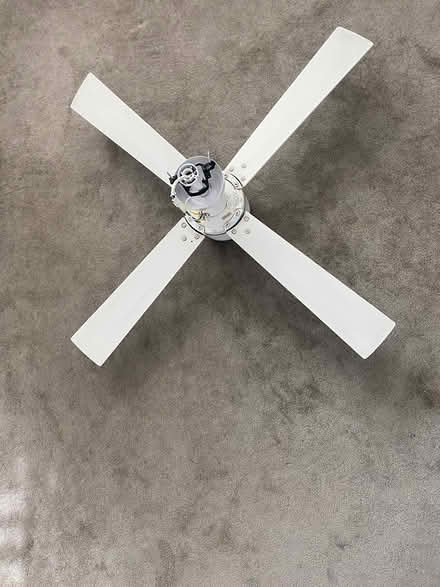 Photo of free Ceiling fan (Pagewood)