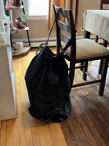 Photo of free carseat bag (Ball Square)