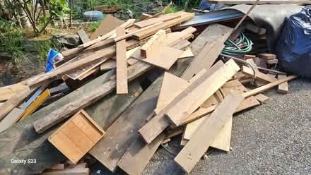 Photo of free Wood scraps (Maple Leaf)