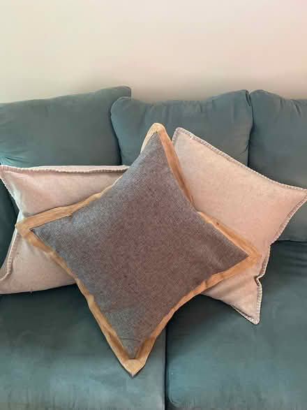 Photo of free Pillows (Somerville/Ball Square)