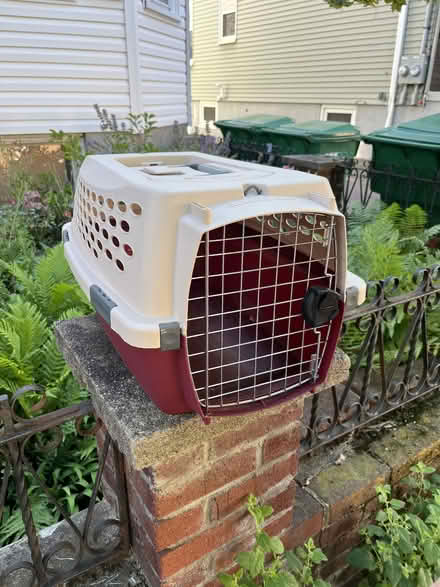 Photo of free pet carrier (Ball Square)
