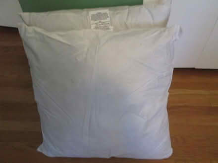 Photo of free Pillow forms (Downers Grove)