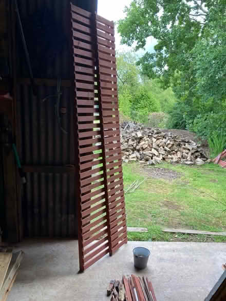 Photo of free Alton cedar wood greenhouse (Herefordshire HR2) #4