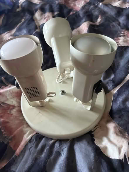 Photo of free 3 point spot light (CA28 east)