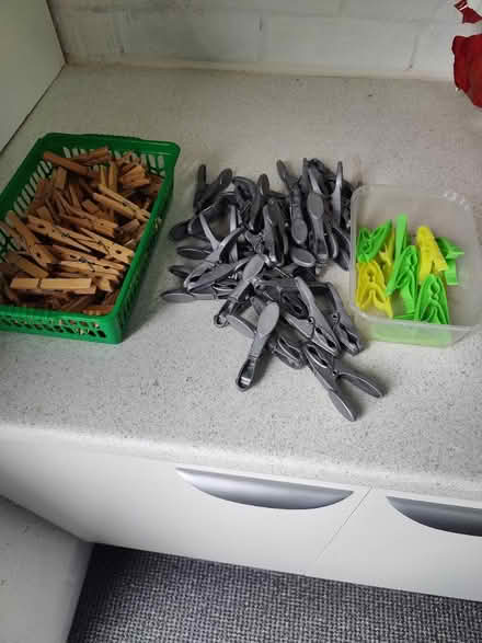 Photo of free Clothes pegs (birstall LE4)