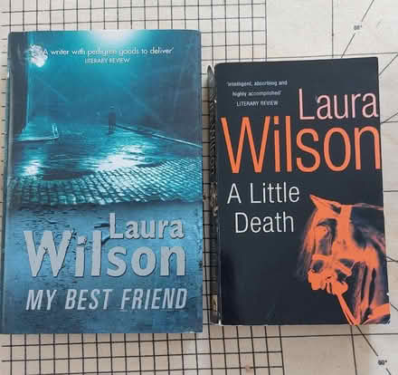 Photo of free 2 Laura Wilson books (Malvern WR14)