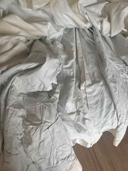 Photo of free Curtain (Coley RG30)