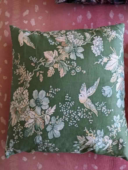 Photo of free Green Patterned Duck Feather Cushions (Welling DA16)