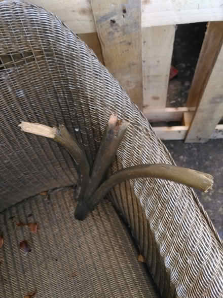 Photo of free Lloyd loom chair - needs repair (Grayrigg LA8)