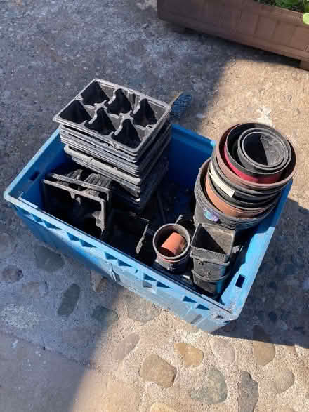 Photo of free Various Used Seed trays plant pots (Moor Side PR4)