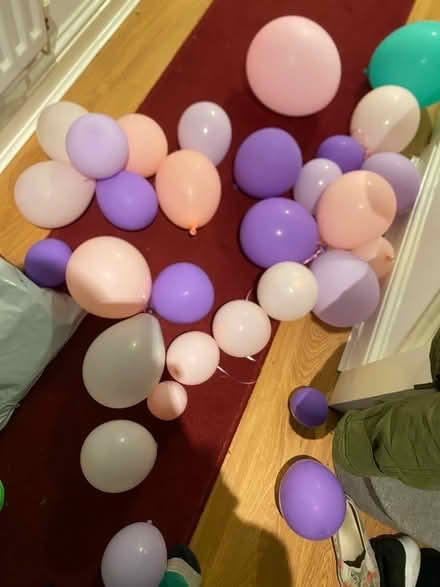 Photo of free Pink and purple balloons (Heath)