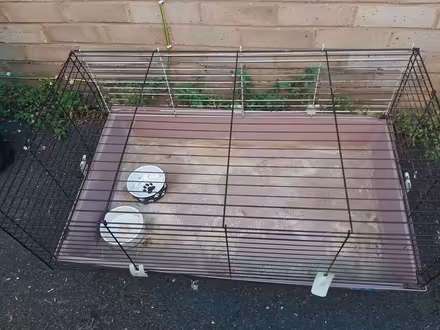 Photo of free Guinea pig cage (The Reddings) #1
