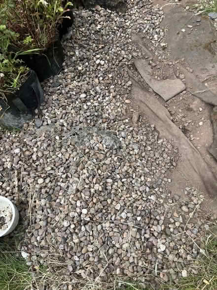 Photo of free Pebbles/small garden rocks (Kingstanding B44)