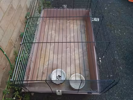 Photo of free Guinea pig cage (The Reddings) #2