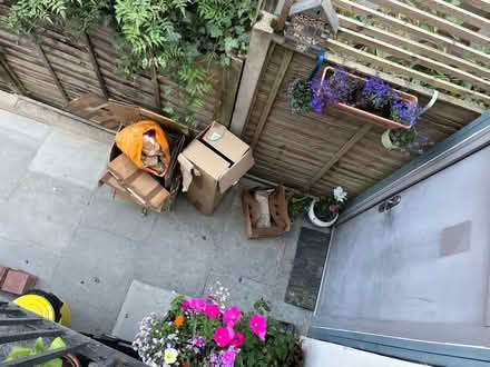 Photo of free Moving boxes to go (Philip Lane, N15)