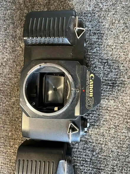 Photo of free Canon T-50 camera bodies (Spring Hill)