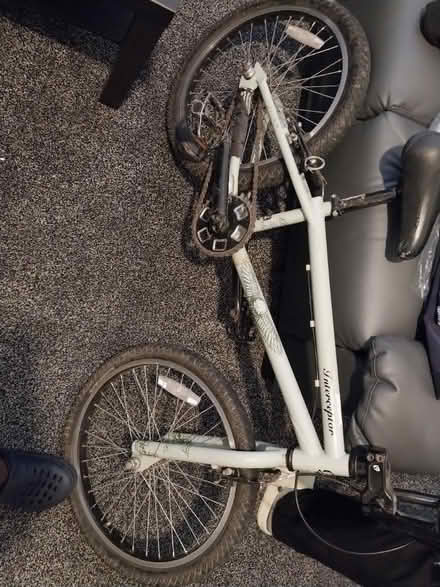 Photo of free Bicycle (Middlesbrough TS1)