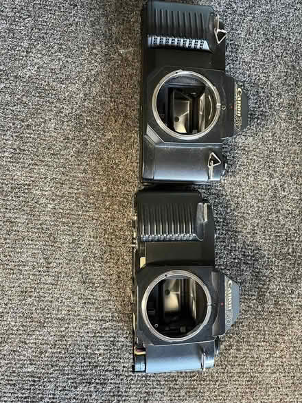 Photo of free Canon T-50 camera bodies (Spring Hill)