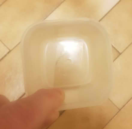 Photo of free Small Plastic Tub- No Lid (M19) #2