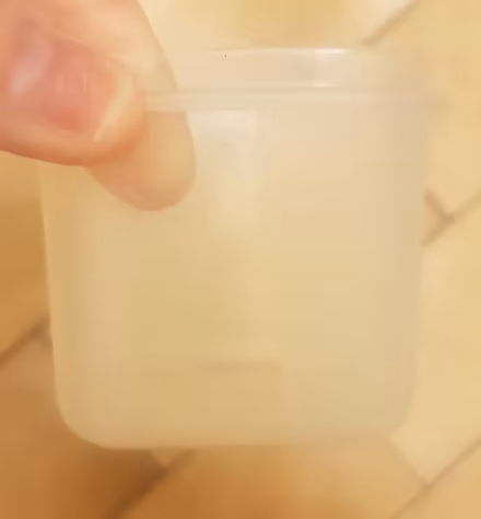 Photo of free Small Plastic Tub- No Lid (M19) #1