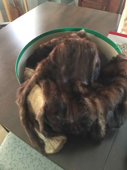 Photo of free Mink scraps from mink coat (Somerville near Pearl St)