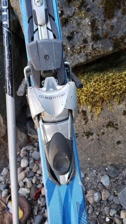 Photo of free Skis with bindings (Kirkland Highlands) #2