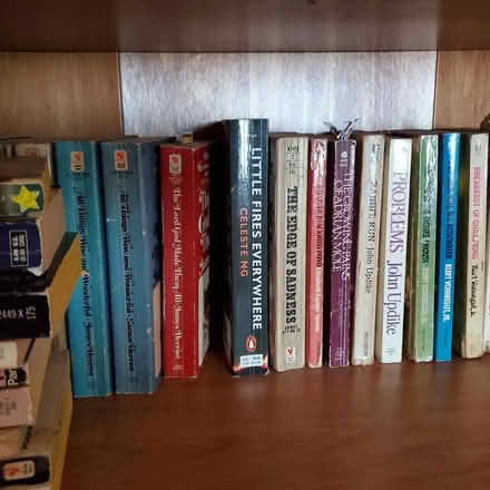 Photo of free Low-toxin novels (read carefully!) (Ann Arbor Northwest Side) #2