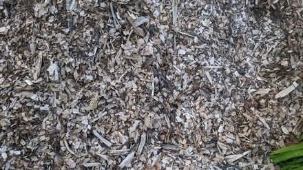 Photo of free wood chips /mulch (Maplewood)