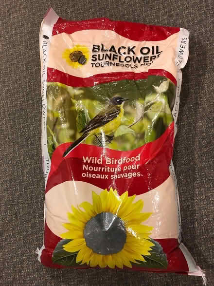 Photo of free Sunflower Seeds (Aylmer Lakeview Terrace)