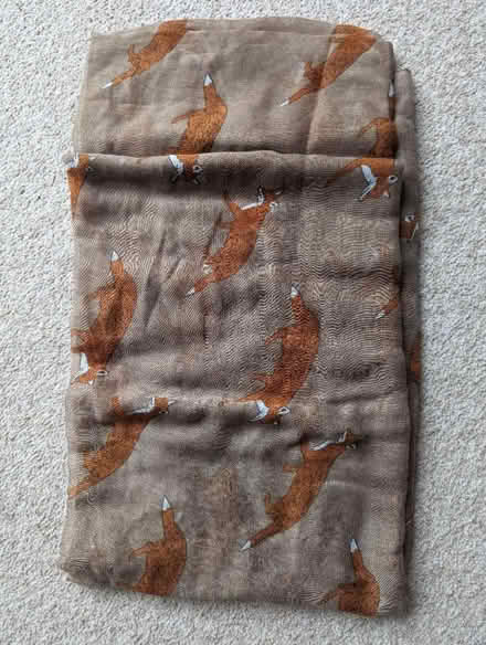 Photo of free Scarves (light material) (Lewes, near Prison/Winterborne) #2