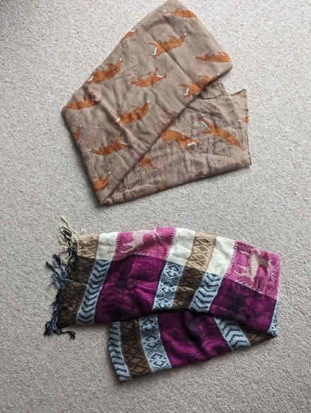 Photo of free Scarves (light material) (Lewes, near Prison/Winterborne) #1