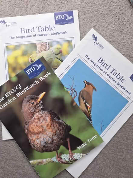Photo of free Bird info (Maidstone town center)