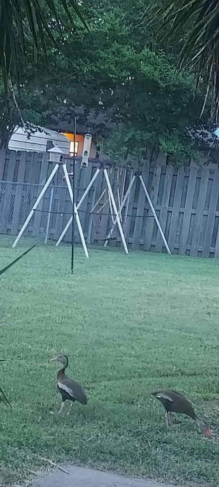 Photo of free Swingset (South Lakeland) #1