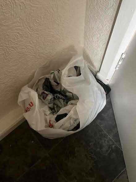 Photo of free Bag of big bags including Iceland delivery bags (Royston EH5)