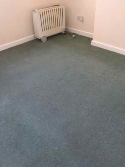Photo of free Carpet for use at home or allotment (West Hill BN1)