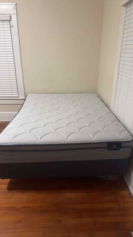 Photo of free Queen bed size bedframe (College Avenue)