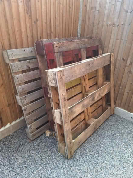 Photo of free Pallets x 4 (Maidstone town center)